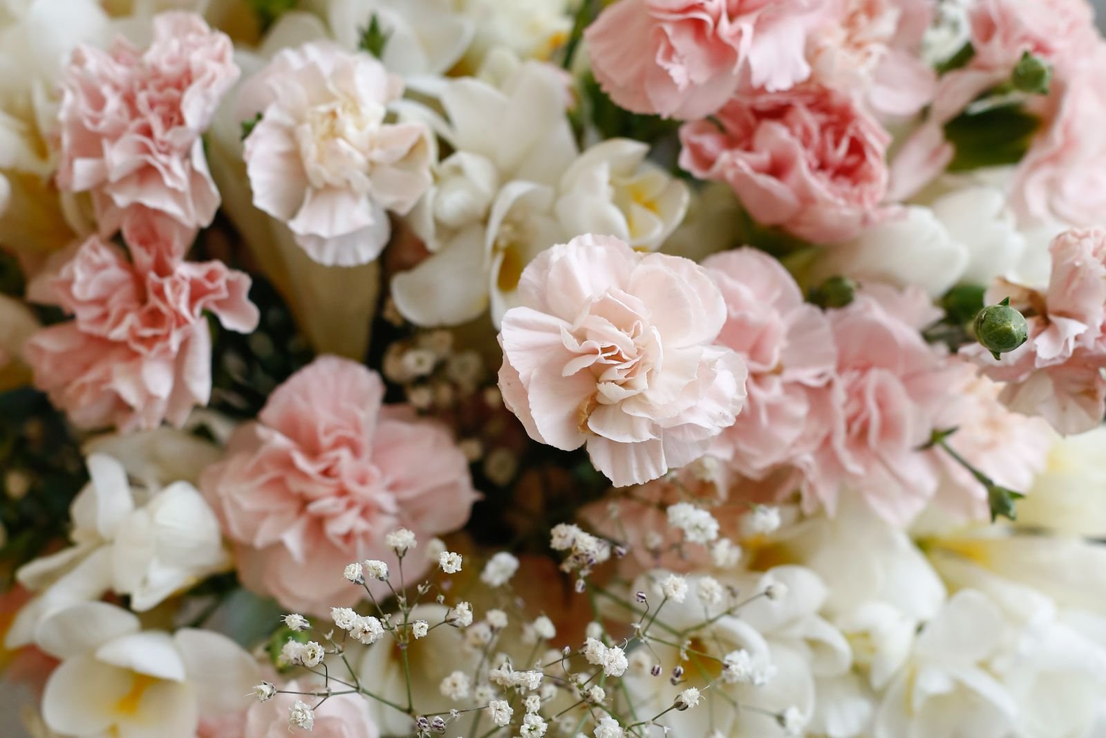 Pink and white carnation bouquet